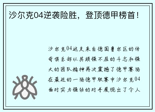沙尔克04逆袭险胜，登顶德甲榜首！