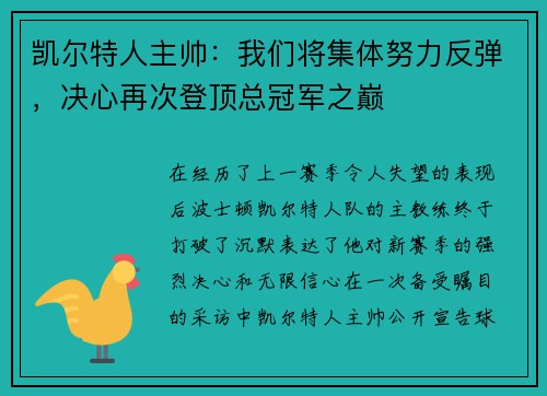 凯尔特人主帅：我们将集体努力反弹，决心再次登顶总冠军之巅